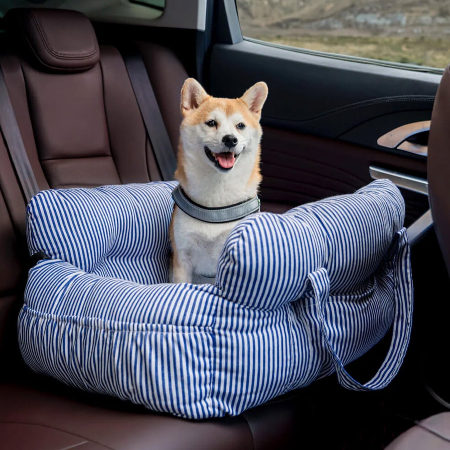 Seggiolino Auto Per Cani – Comfort Ottimale In Viaggio