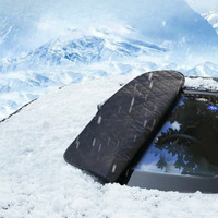 Beskyttelsesglass for bil - Anti-frost om vinteren, anti-varme om sommeren 