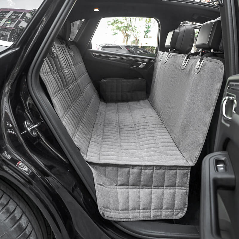 Protecție & Organizare 