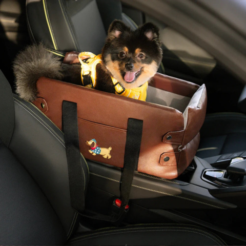 Auto-Warenkorb für kleine Hunde — Sicherheit und Komfort im Auto 