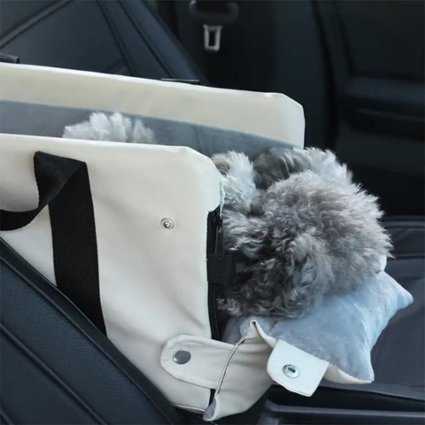 Auto-Warenkorb für kleine Hunde — Sicherheit und Komfort im Auto 