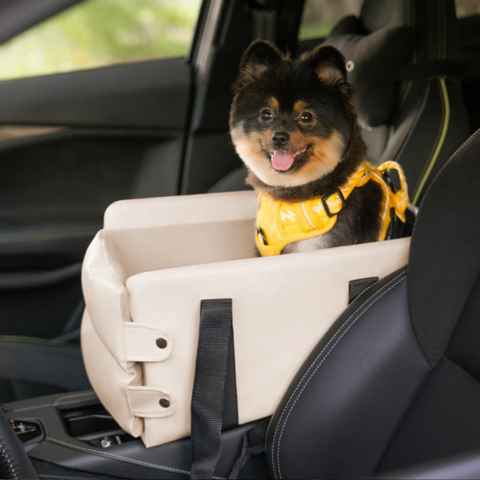 Auto-Warenkorb für kleine Hunde — Sicherheit und Komfort im Auto 