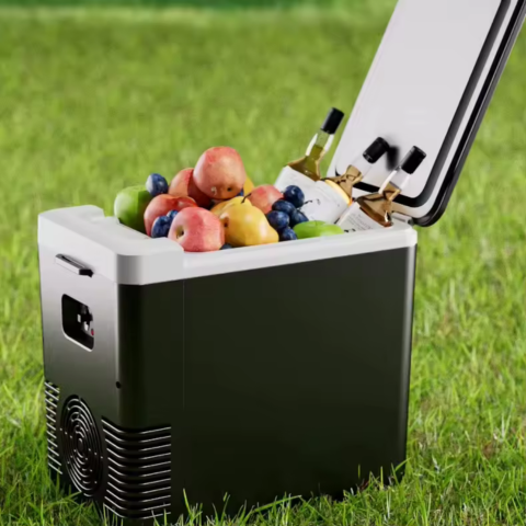 Mini Refrigerator & Car Food Warmer — 2 In 1 Practical 