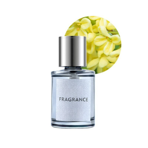 Aromatische Diffuser Voor Auto – Geur En Stijl 